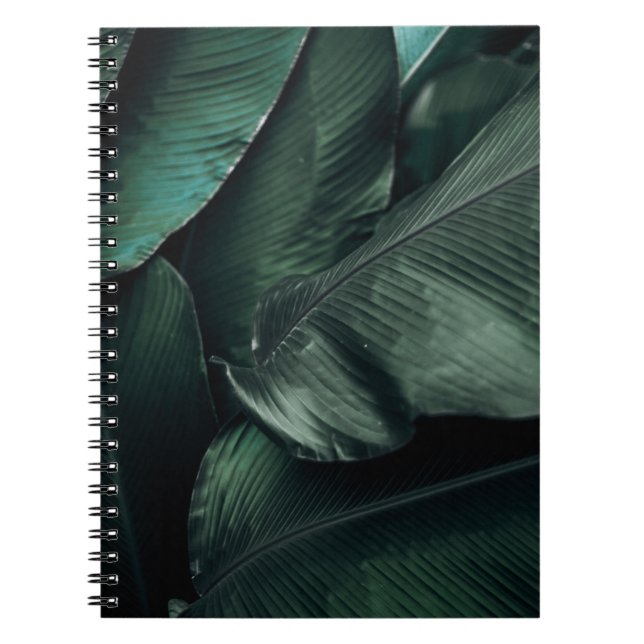 CUADERNO FOTOGRAFÍA MACRO DE HOJAS VERDES (Frente)
