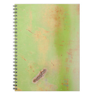 Cuaderno Fotografía metalizado verde del Grunge de la