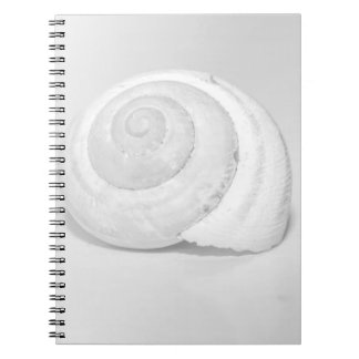 Cuaderno Fotografía minimalista de la naturaleza de concha