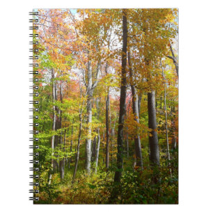 Cuaderno Fotografía paisajística de otoño en el bosque otoñ