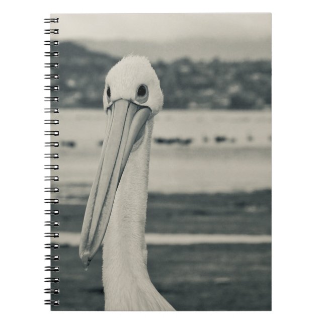 Cuaderno Fotografía pelicana en blanco y negro (Frente)