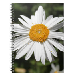 Cuaderno fotografía popular de flor, bonito de margarita bl