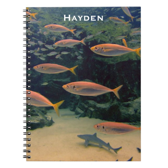 Cuaderno Fotografía subacuática de peces rosados personaliz (Frente)