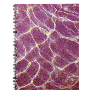 Cuaderno Fotografía submarina de arena