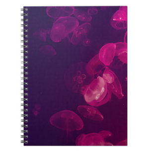 CUADERNO FOTOGRAFÍA SUBMARINA DE JELLYFISH