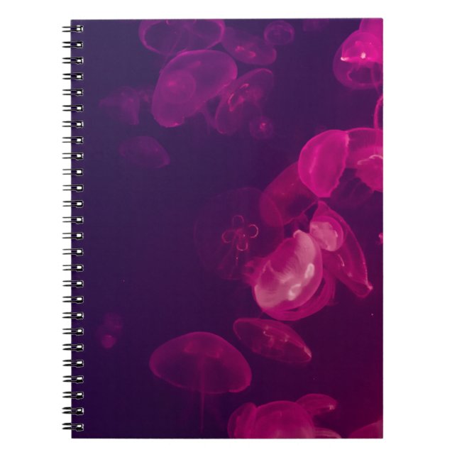 CUADERNO FOTOGRAFÍA SUBMARINA DE JELLYFISH (Frente)