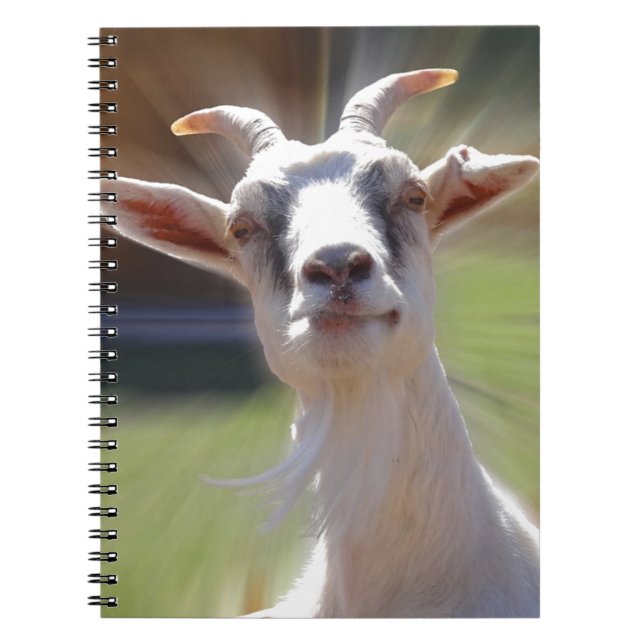 Cuaderno Fotografía tonta de BillyGoat (Frente)