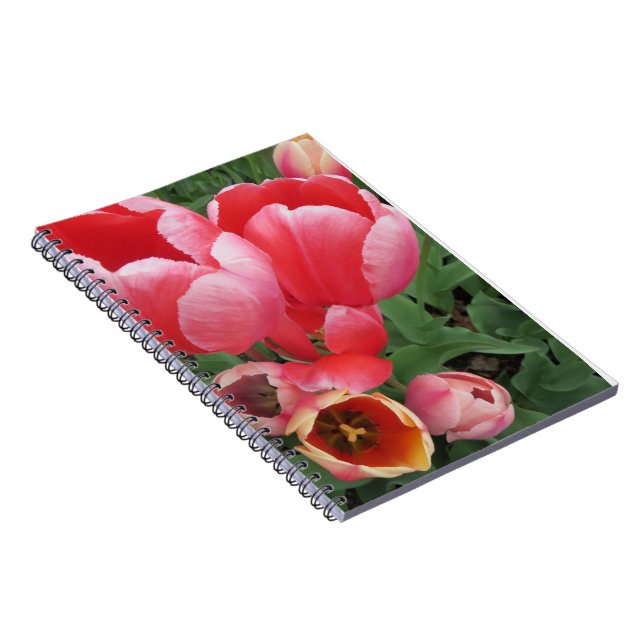 Cuaderno Fotografía vibrante de tulipanes rosados - (Lado Derecho)