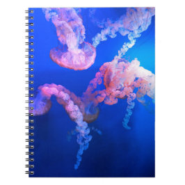 Cuaderno Fotos acuáticas náuticas Fotografía de animales ma