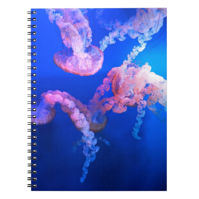 Cuaderno Fotos acuáticas náuticas Fotografía de animales ma (Frente)