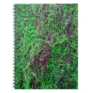 Cuaderno Fotos de textura de musgo de bosque verde vibrante
