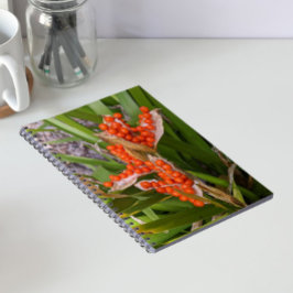 Cuaderno Fotos de vainas de semillas de lirio hediondo nara