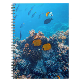 Cuaderno Fotos náuticas Fotografía de animales marinos Fish