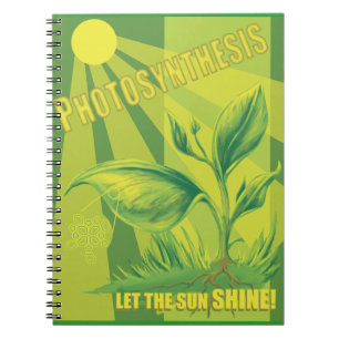 Cuaderno Fotosíntesis