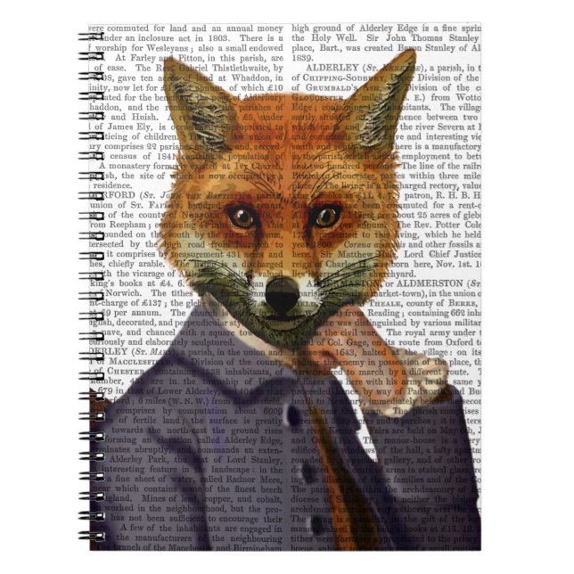 Cuaderno Fox con flauta 2 (Frente)