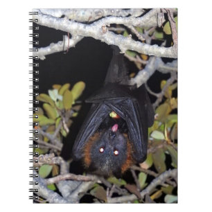 Cuaderno Fox de vuelo Gris-Dirigido