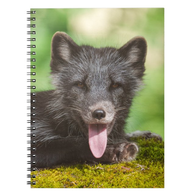 Cuaderno Fox del Ártico (Frente)