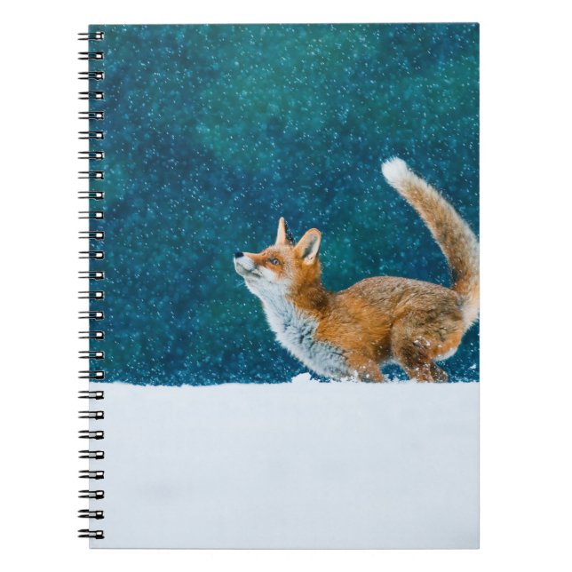 Cuaderno Fox en nevada. Fox roja, Vulpes vulpes, saltar i (Frente)