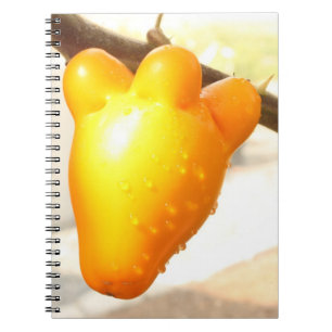 Cuaderno Fox Face Fruit