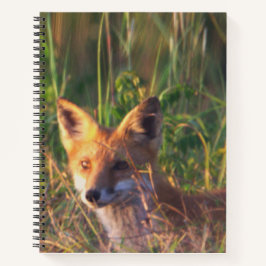 Cuaderno Fox Notebook