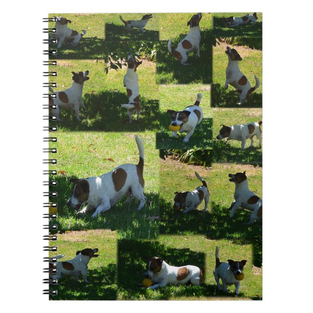 Cuaderno Fox Terrier, El Día Duro, (Frente)