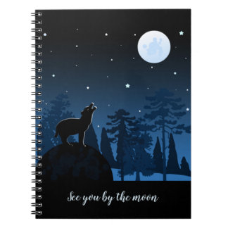 Cuaderno Fox Y Luna Completa A Medianoche
