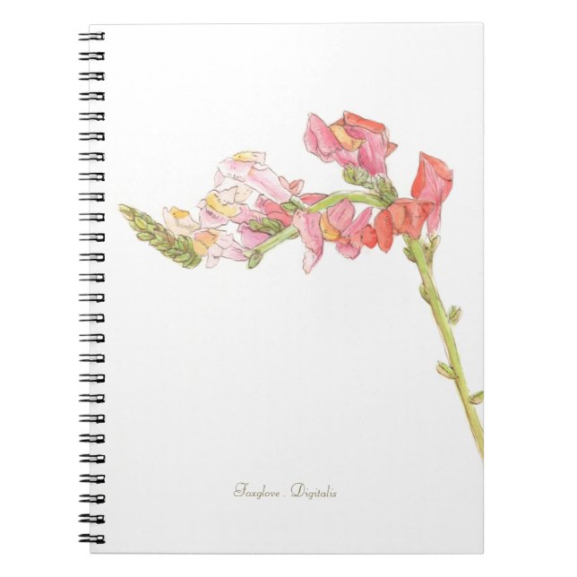 Cuaderno Foxglove (Frente)