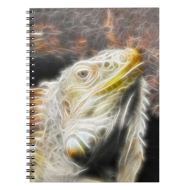 Cuaderno Fracguana (Frente)