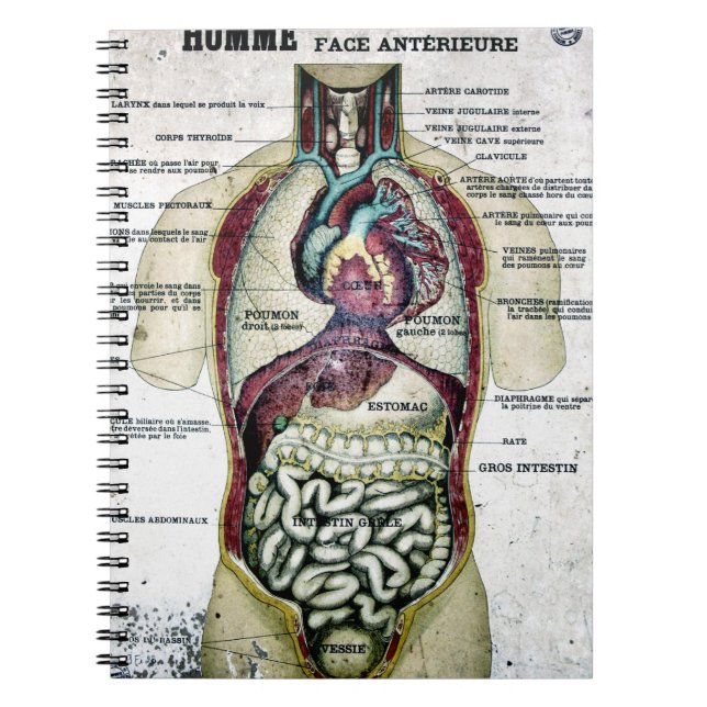 Cuaderno francés de la anatomía del vintage (Frente)