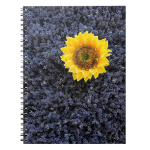 Cuaderno Francia, Provenza-Alpes-Costa Azul