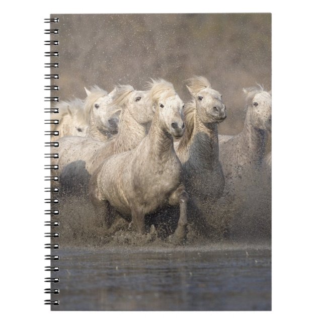 Cuaderno Francia, Provenza. Caballos blancos de Camarga cor (Frente)
