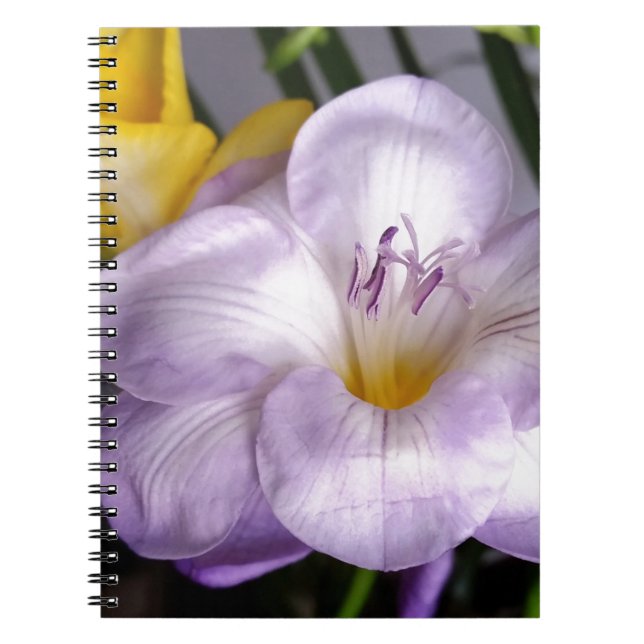 Cuaderno freesia violeta abierta (Frente)