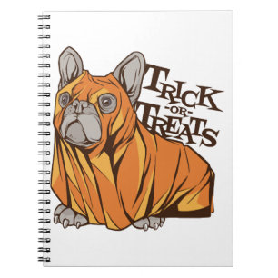 Cuaderno fregonas de Halloween