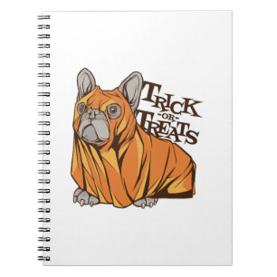Cuaderno fregonas de Halloween