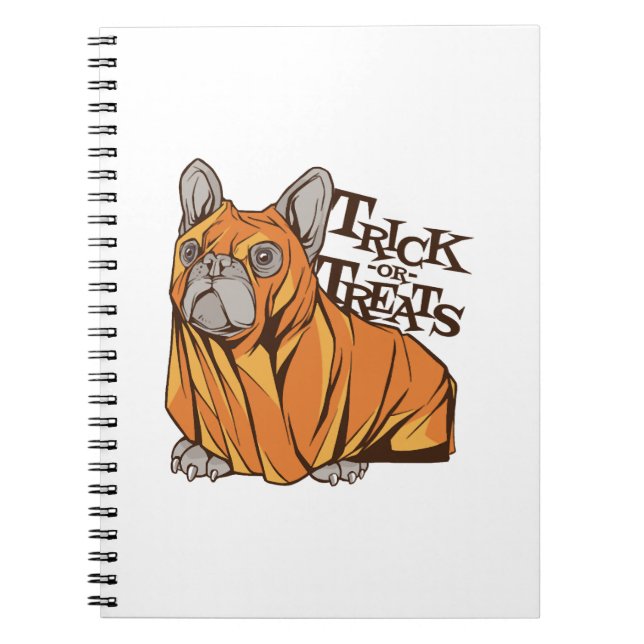 Cuaderno fregonas de Halloween (Frente)