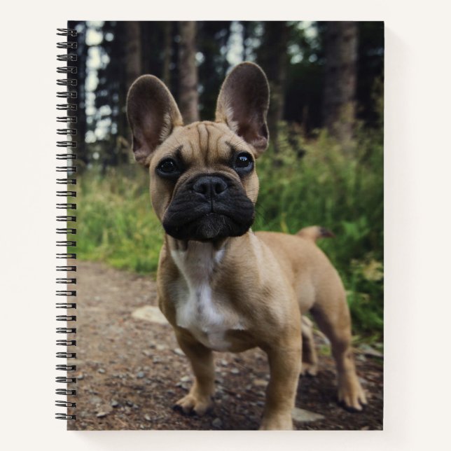 Cuaderno French Bulldog Throw Pillow (Anverso)