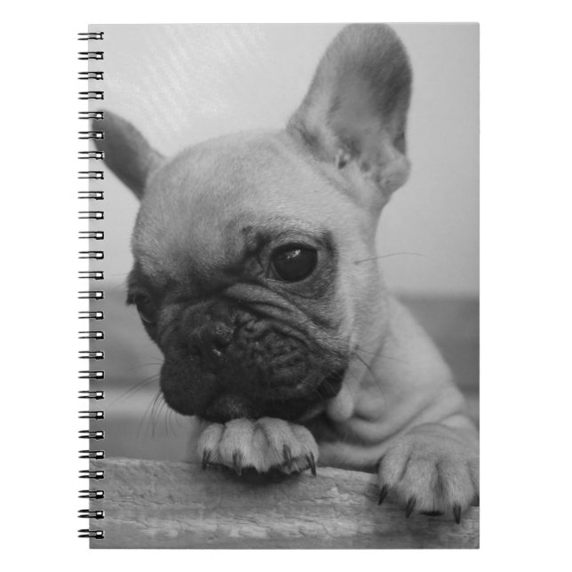 Cuaderno Frenchie puppy (Frente)