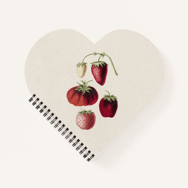 Cuaderno Fresas de mano dibujadas (Anverso)