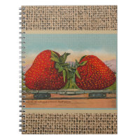 Fresas Gigante Antiguo Fruta Diversión
