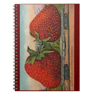 Cuaderno Fresas Gigante Antiguo Fruta Diversión