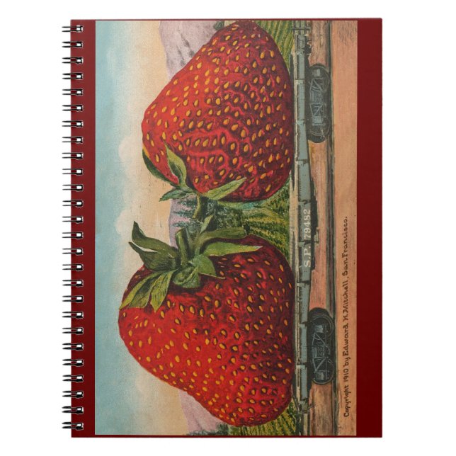 Cuaderno Fresas Gigante Antiguo Fruta Diversión (Frente)