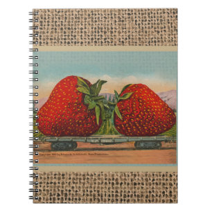 Cuaderno Fresas Gigante Fruto de la Antigüedad