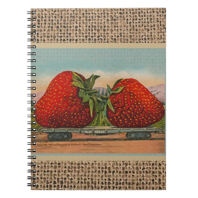 Cuaderno Fresas Gigante Fruto de la Antigüedad (Frente)