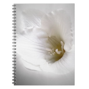 Cuaderno fresia blanca