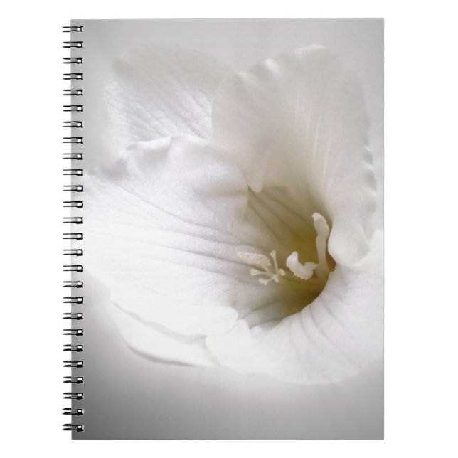 Cuaderno fresia blanca (Frente)
