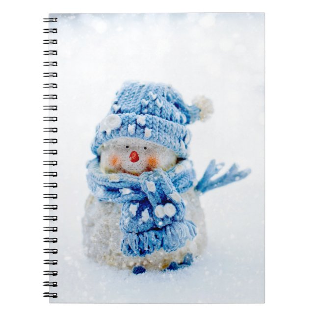 Cuaderno Friend helado en azul (Frente)