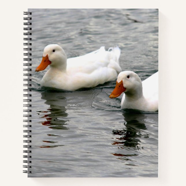 Cuaderno Friends For Life (Anverso)