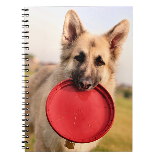 Cuaderno Frisbee (Frente)