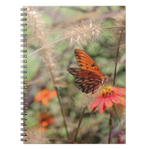 Cuaderno Fritillary en el Golfo de Zambia