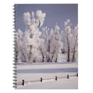 Cuaderno Frost cubrió los árboles y la cerca, Colorado